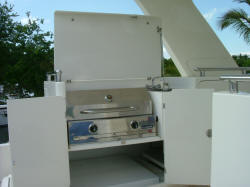 Gas grill open