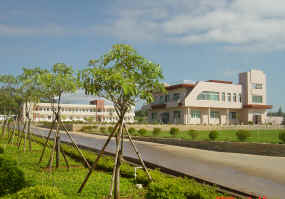 Office though the Fruit Trees